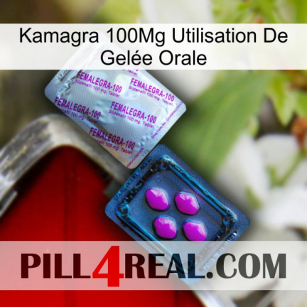 Kamagra 100Mg Utilisation De Gelée Orale 37